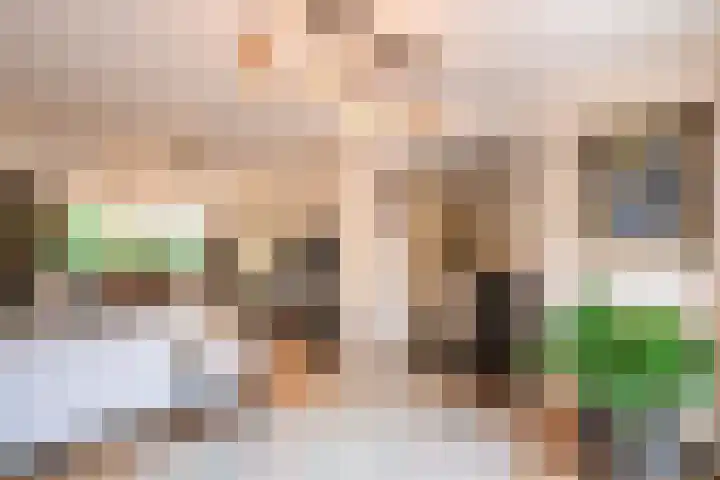 Willem I-laan 6 Oss thumbnail 10