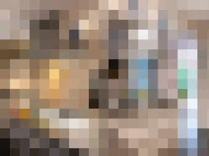 Willem I-laan 6 Oss thumbnail 12