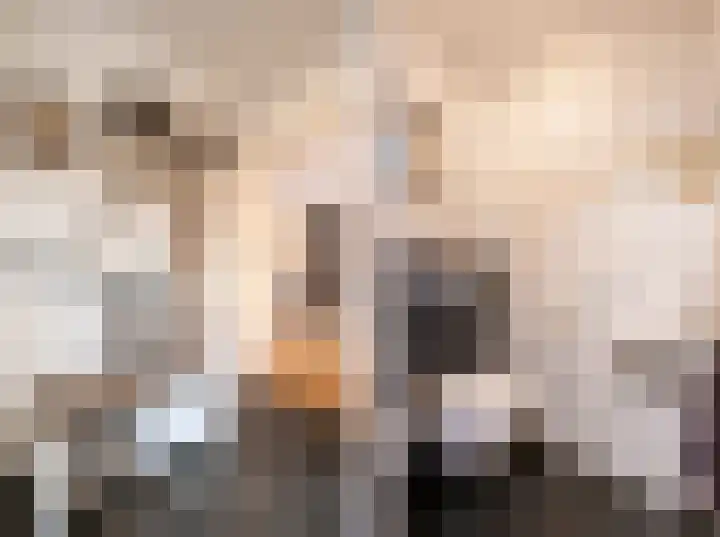 Willem I-laan 6 Oss thumbnail 6