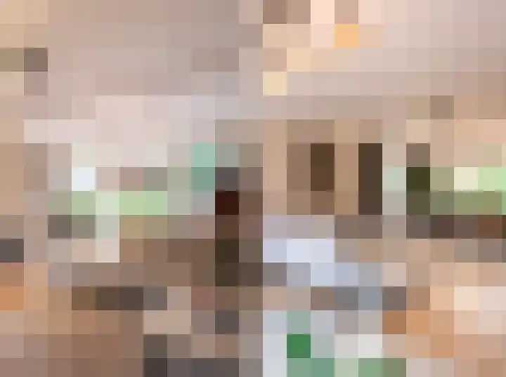Willem I-laan 6 Oss thumbnail 9