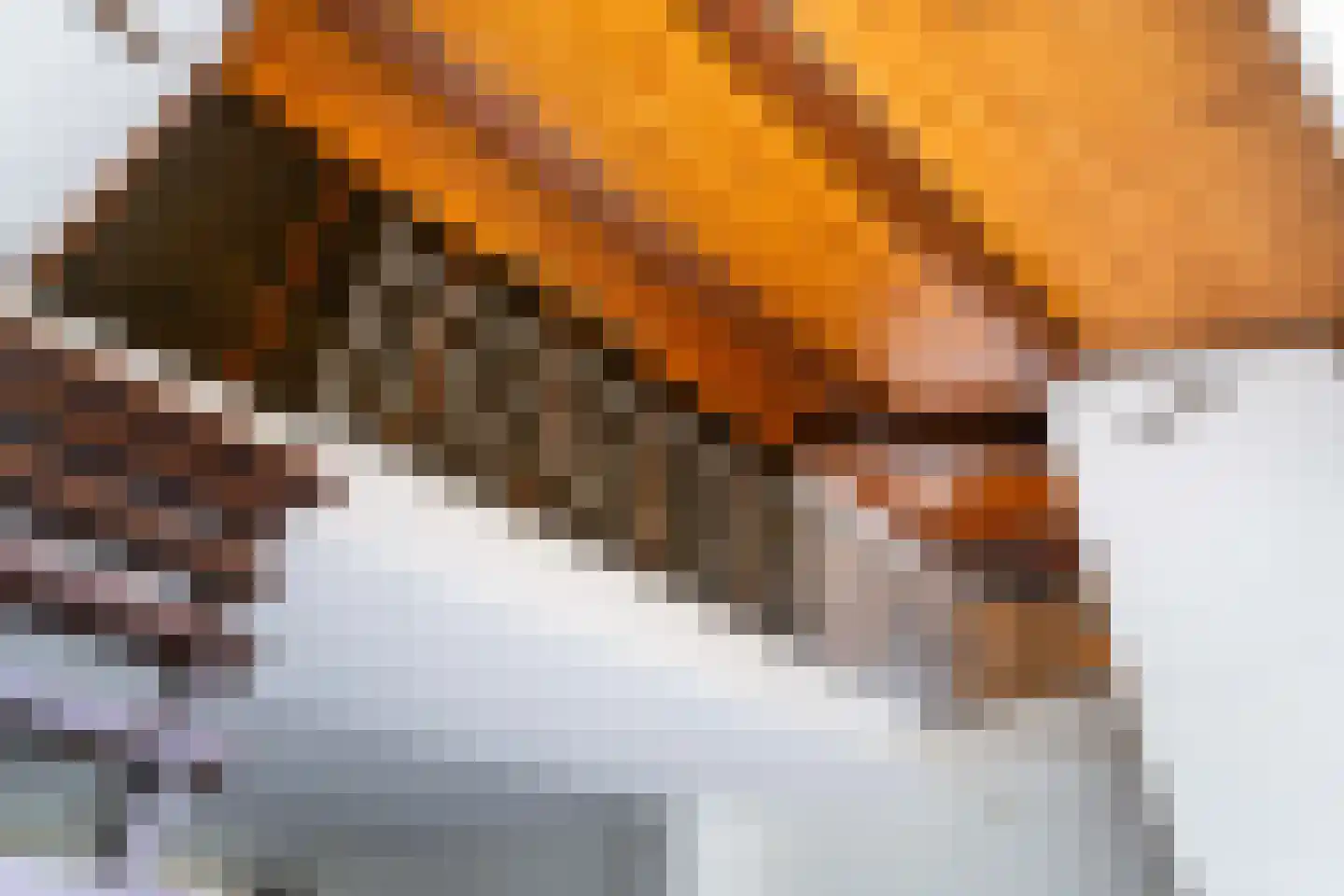 Willem I straat 18 Nederweert thumbnail 17