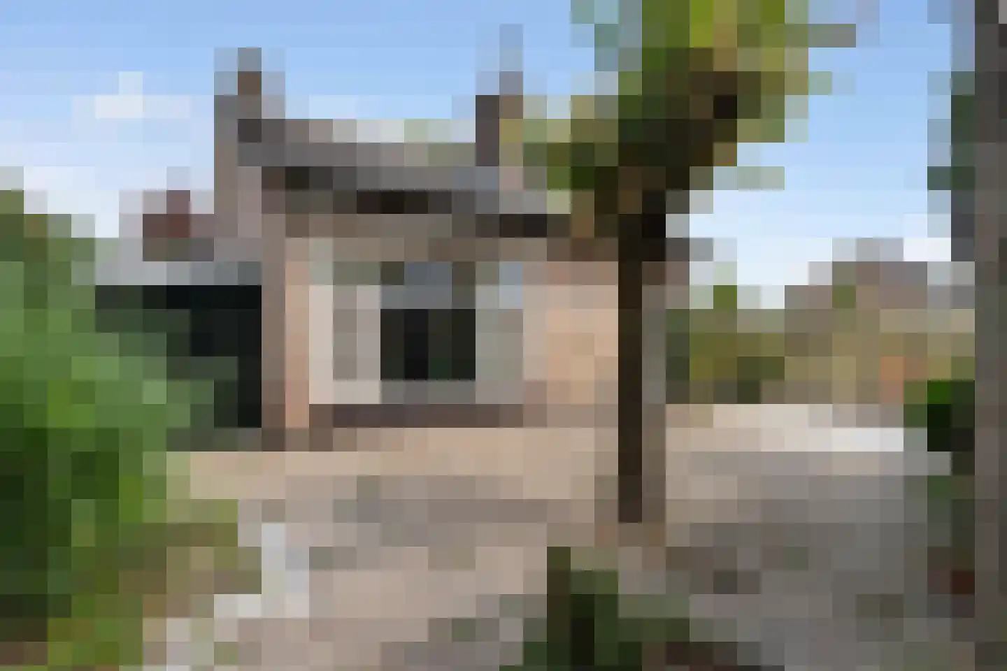 Willem I straat 18 Nederweert thumbnail 39