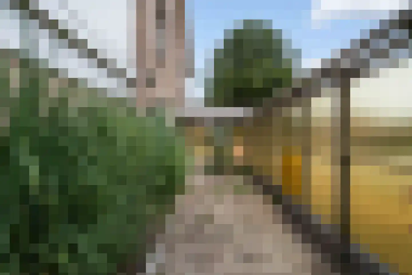 Willem I straat 18 Nederweert thumbnail 42