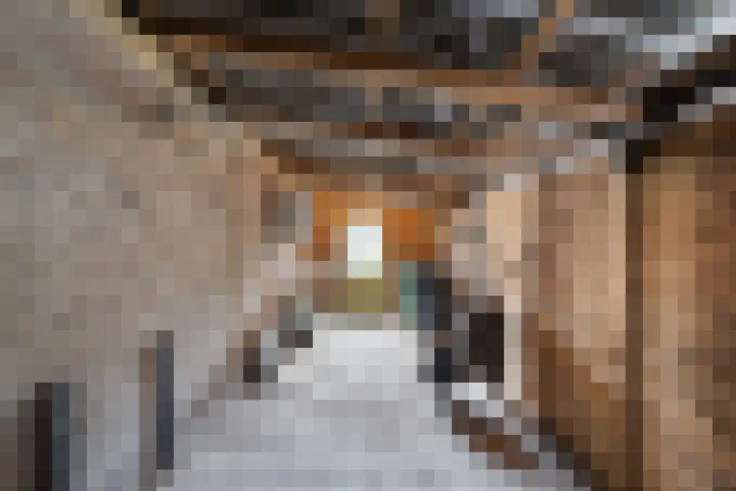 Willem I straat 18 Nederweert thumbnail 46
