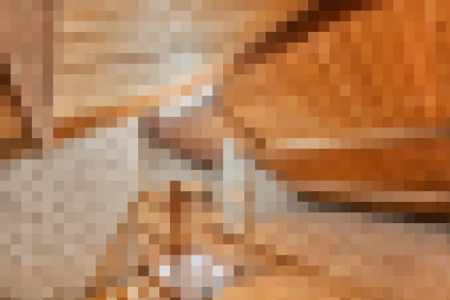 Willem I straat 3 Belfeld thumbnail 21