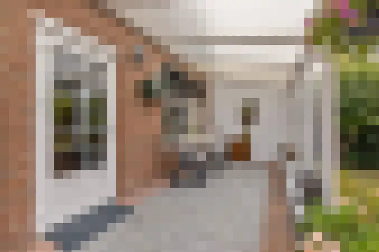 Willem I straat 3 Belfeld thumbnail 22