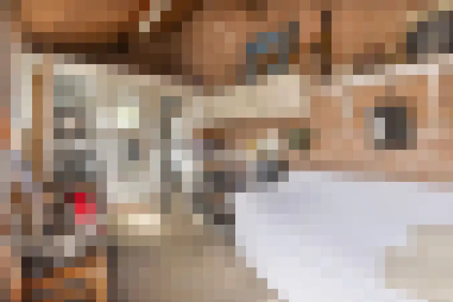 Willem I straat 3 Belfeld thumbnail 30