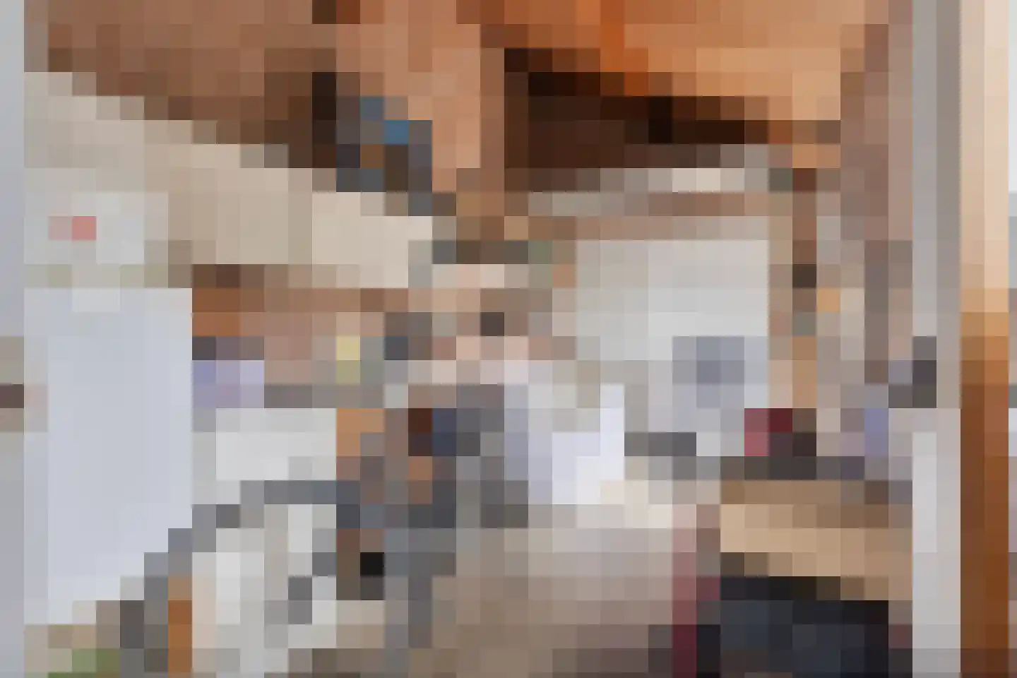Willem I straat 3 Belfeld thumbnail 31