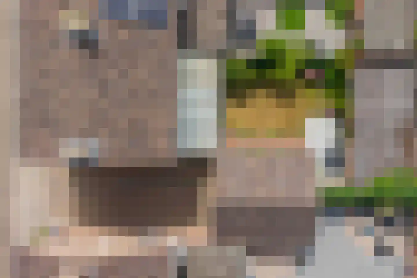 Willem I straat 3 Belfeld thumbnail 34