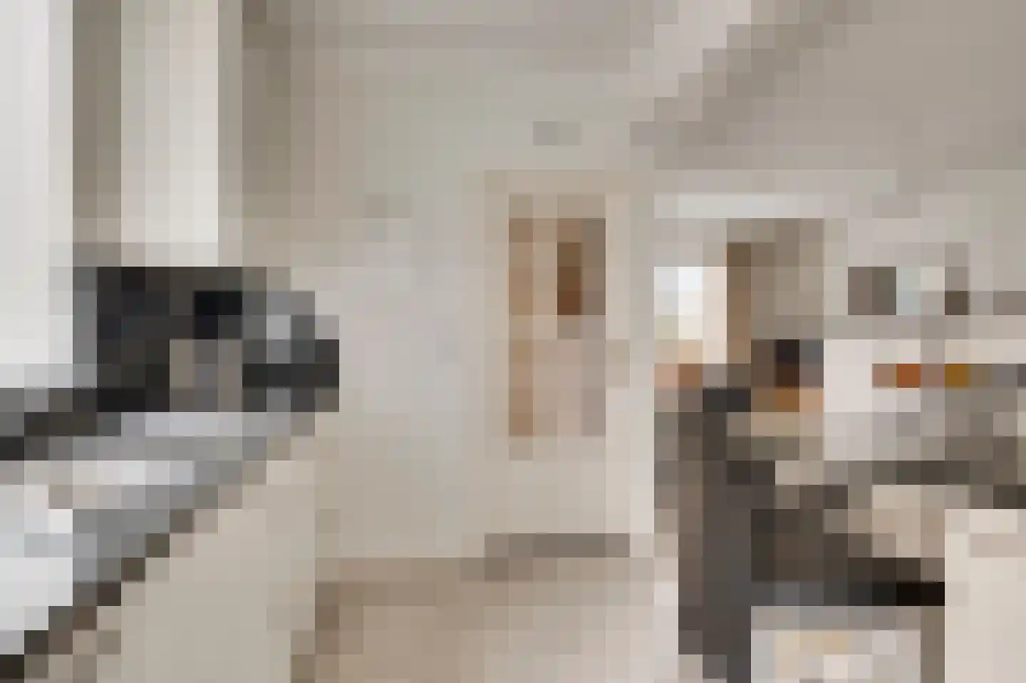 Willem I straat 32 Nederweert thumbnail 8