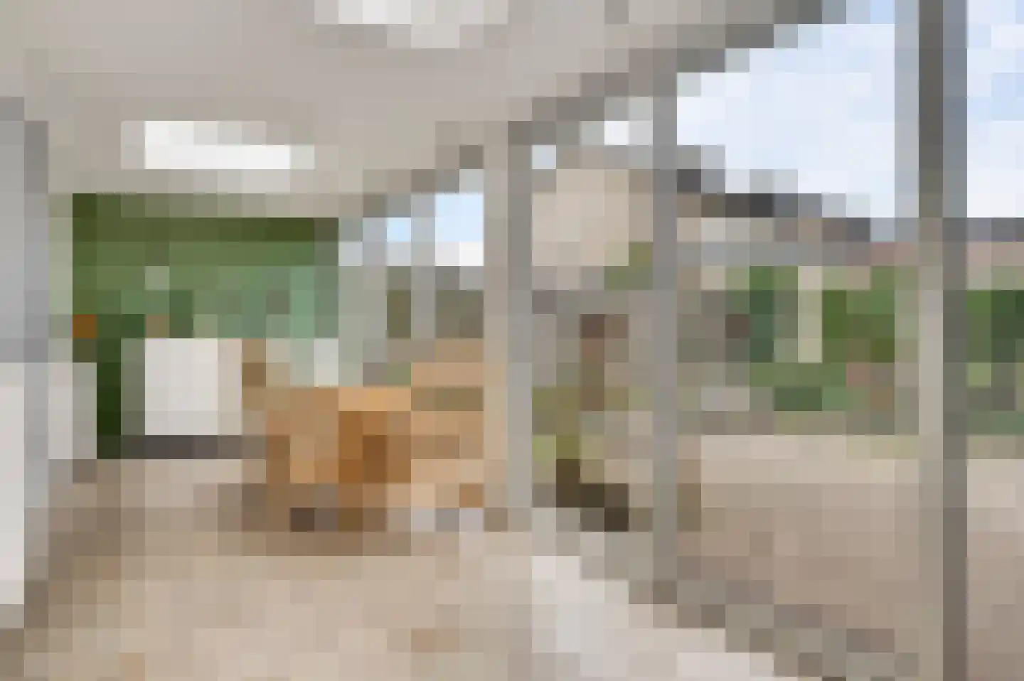 Willem I straat 32 Nederweert thumbnail 9