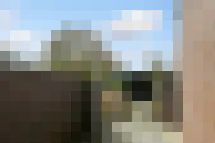 Willem I straat 5 Weert thumbnail 32