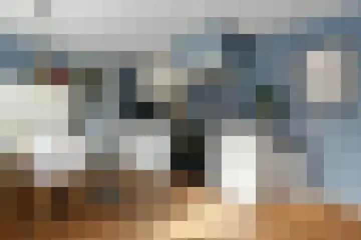 Willem I straat 5 Weert thumbnail 4