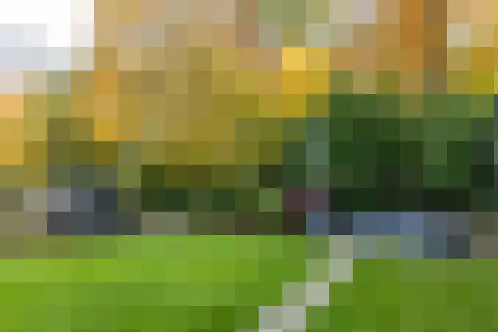 Willem II-laan 6 Landgraaf thumbnail 40