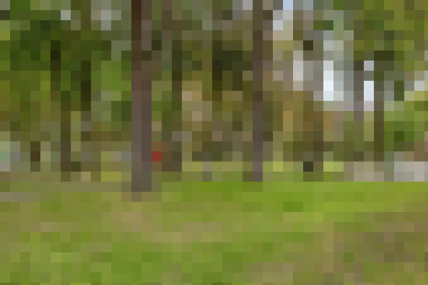 Willem II-plein 27 Valkenswaard thumbnail 36