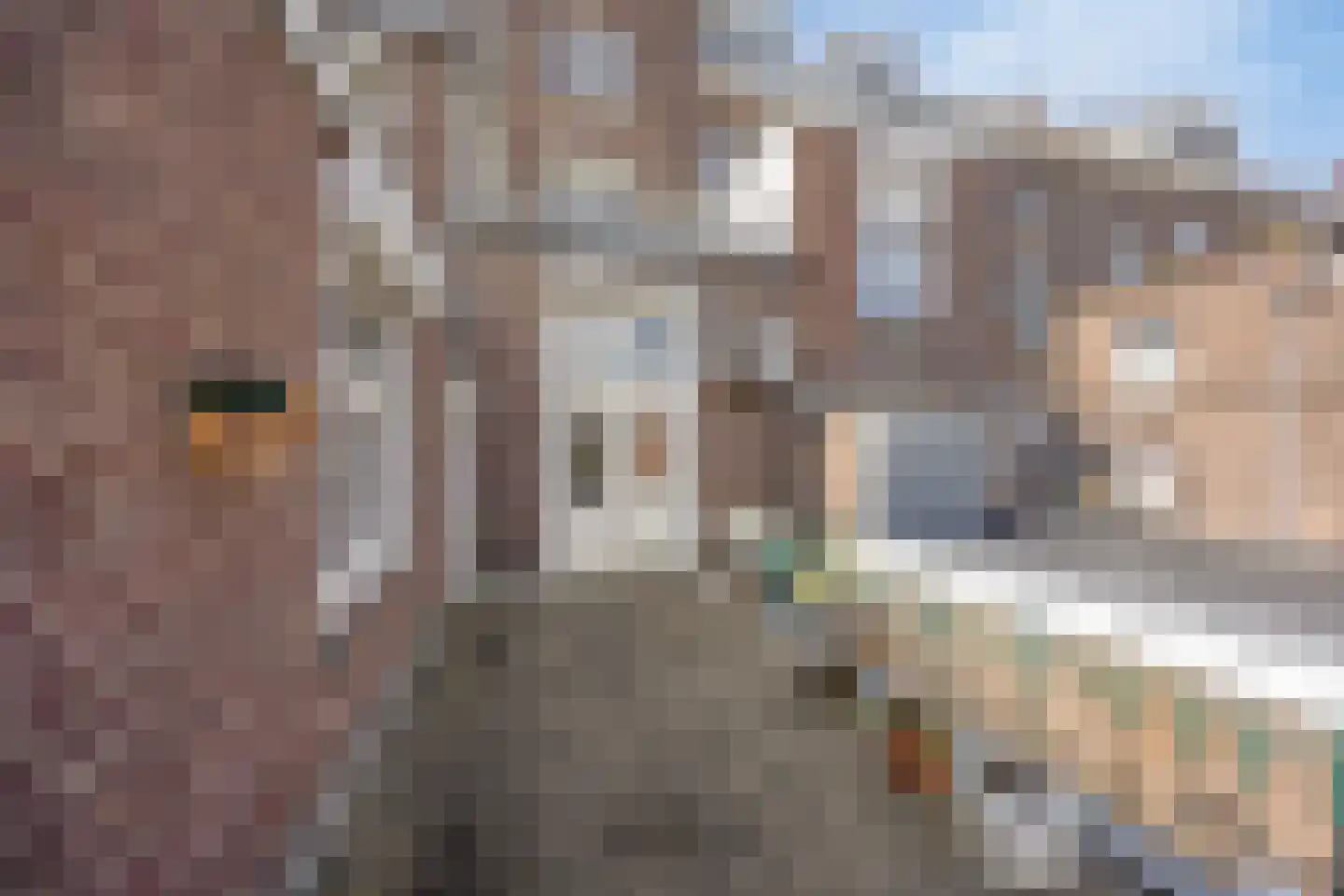 Willem II Singel 51 Roermond thumbnail 39