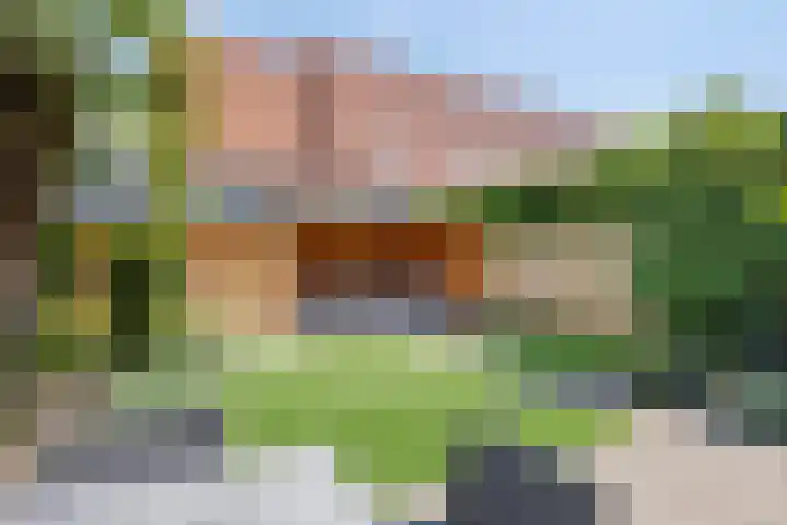Willem II straat 4 Budel thumbnail 22