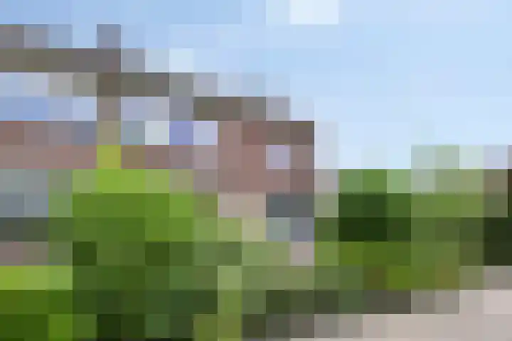 Willem II straat 4 Budel thumbnail 30