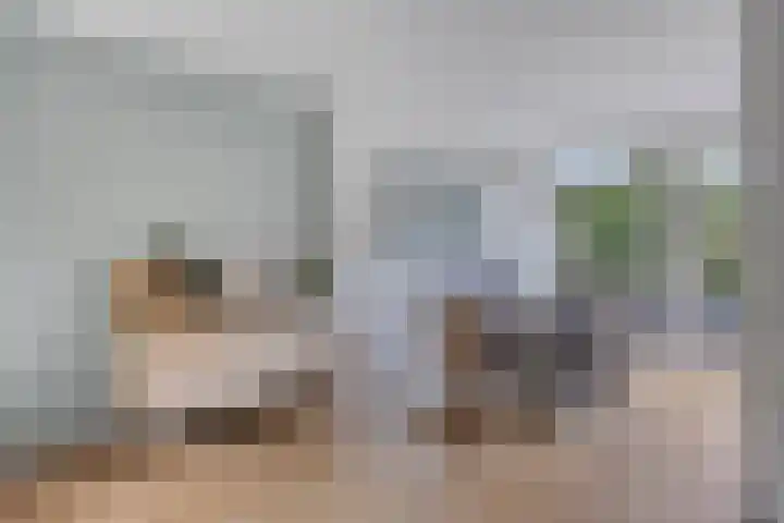 Willem II straat 4 Budel thumbnail 7