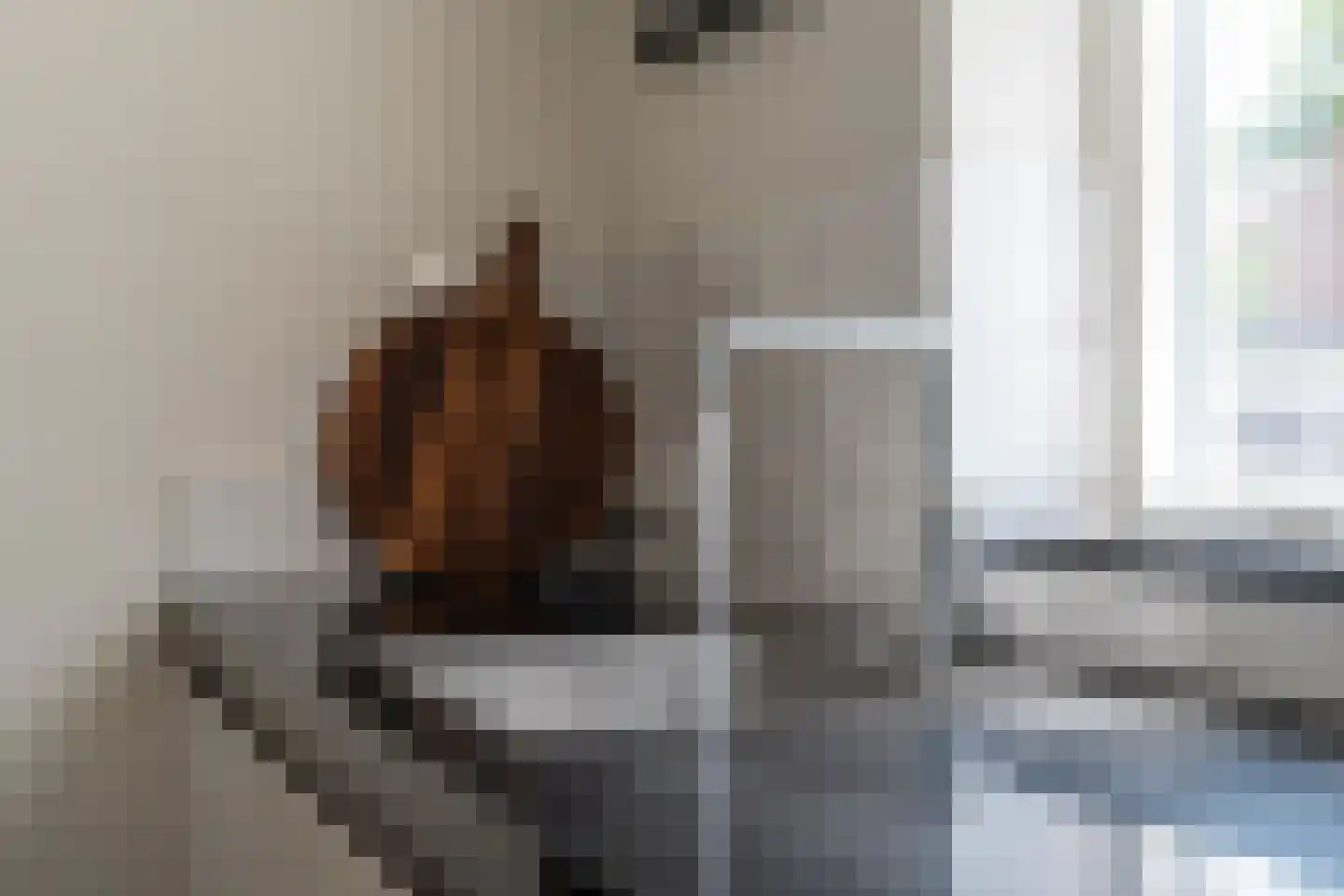 Willem III straat 2 Schijndel thumbnail 12