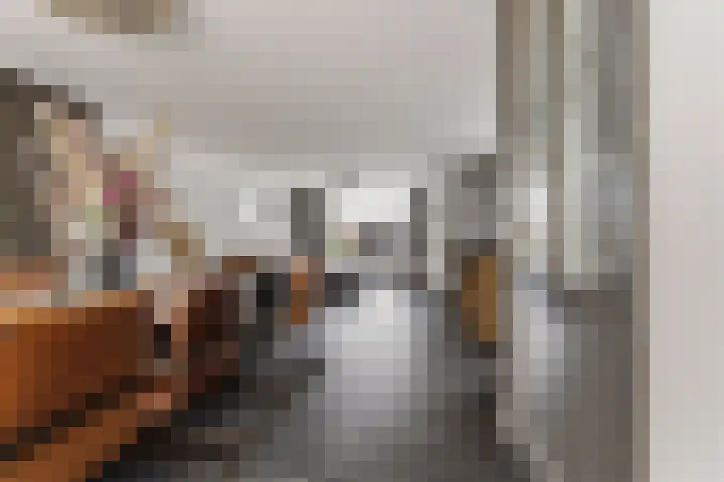 Willem III straat 2 Schijndel thumbnail 8