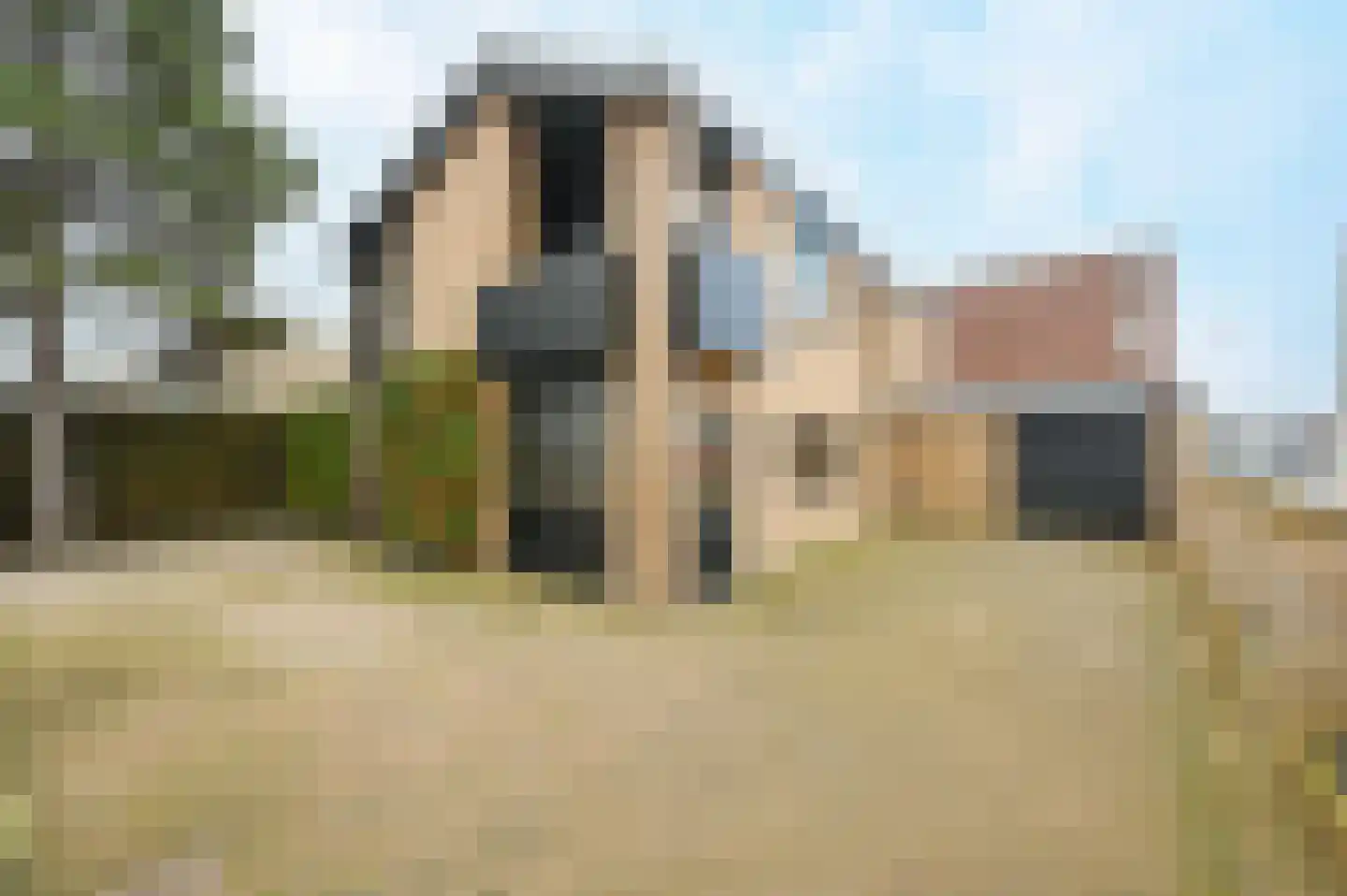 Willem III straat 24 Den Haag thumbnail 8