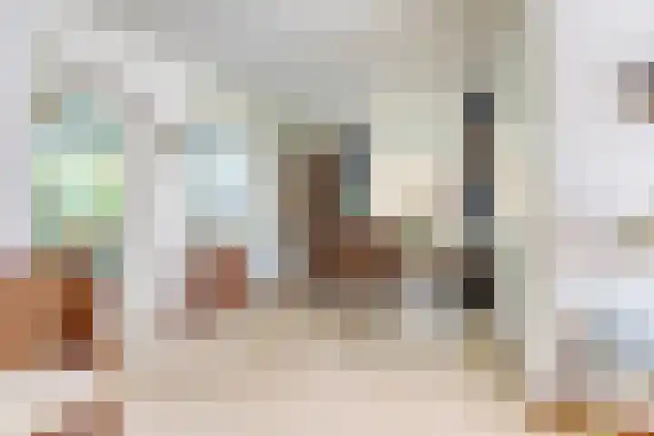 Willem III straat 24 Maasdijk thumbnail 11