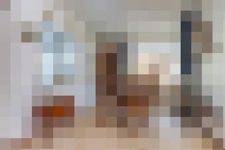 Willem III straat 24 Maasdijk thumbnail 12