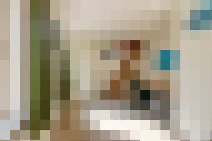 Willem III straat 24 Maasdijk thumbnail 22