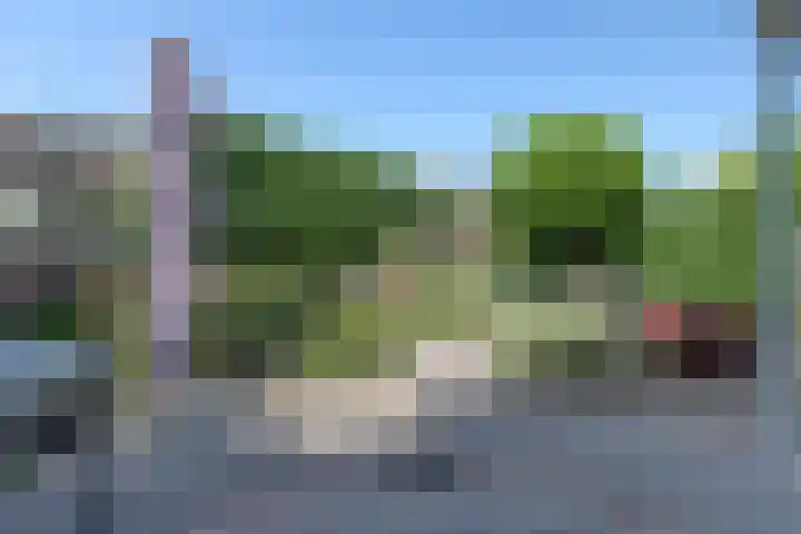 Willem III straat 24 Maasdijk thumbnail 29