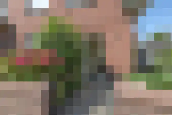 Willem III straat 24 Maasdijk thumbnail 33