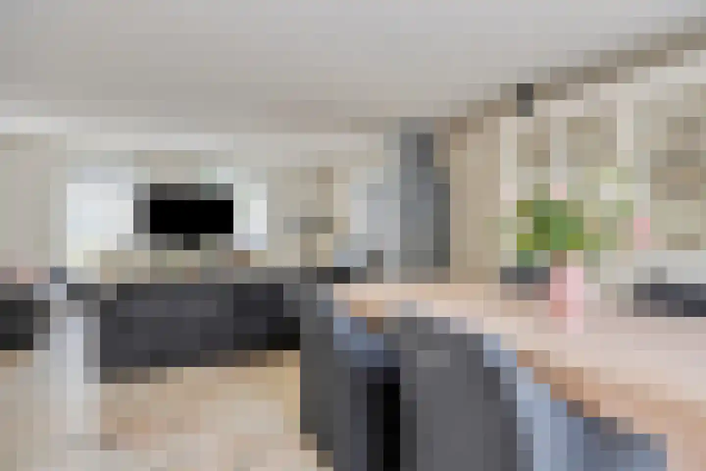 Willem Jan Jonkerlaan 5 Eindhoven thumbnail 10