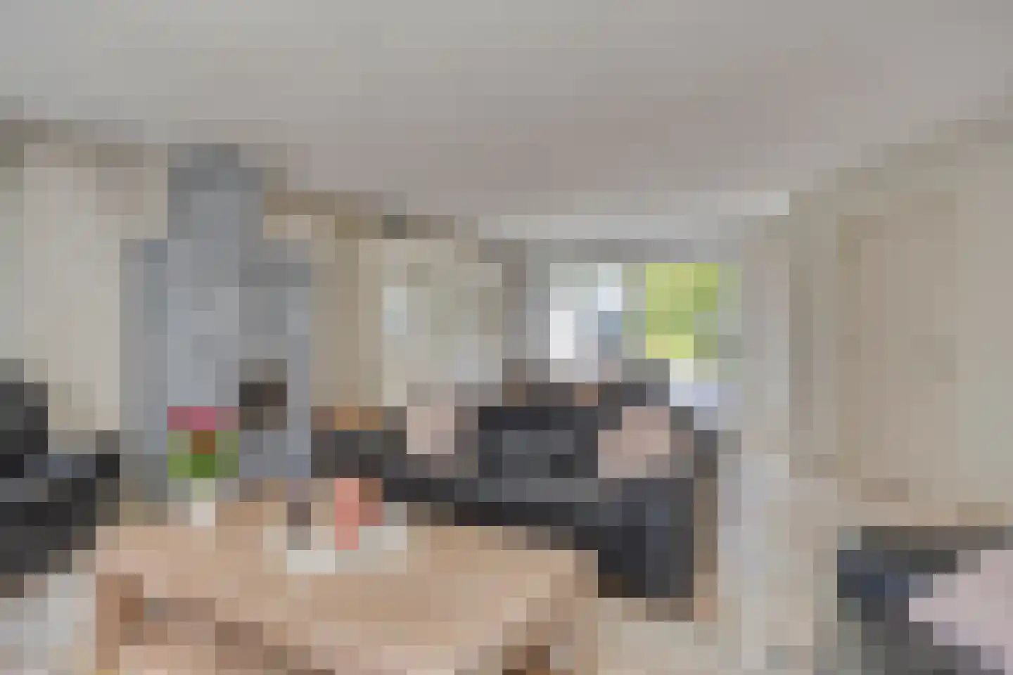 Willem Jan Jonkerlaan 5 Eindhoven thumbnail 8