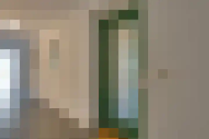 Willem Jansenstraat 17 Westzaan thumbnail 34