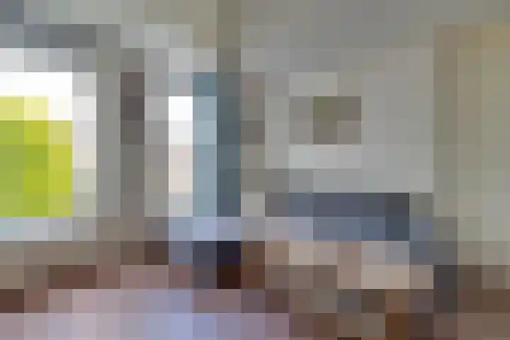 Willem Jansenstraat 17 Westzaan thumbnail 7