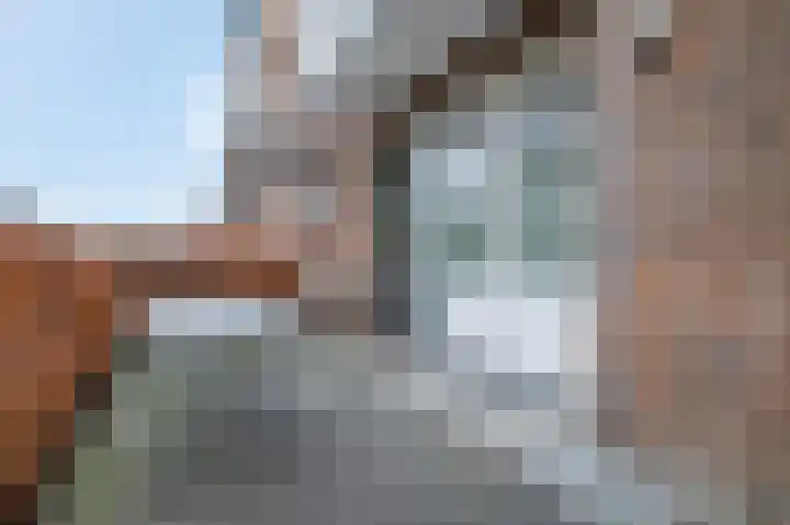 Willem Jansenstraat 18 Bemmel thumbnail 21