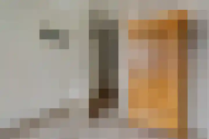Willem Jansenstraat 18 Bemmel thumbnail 28