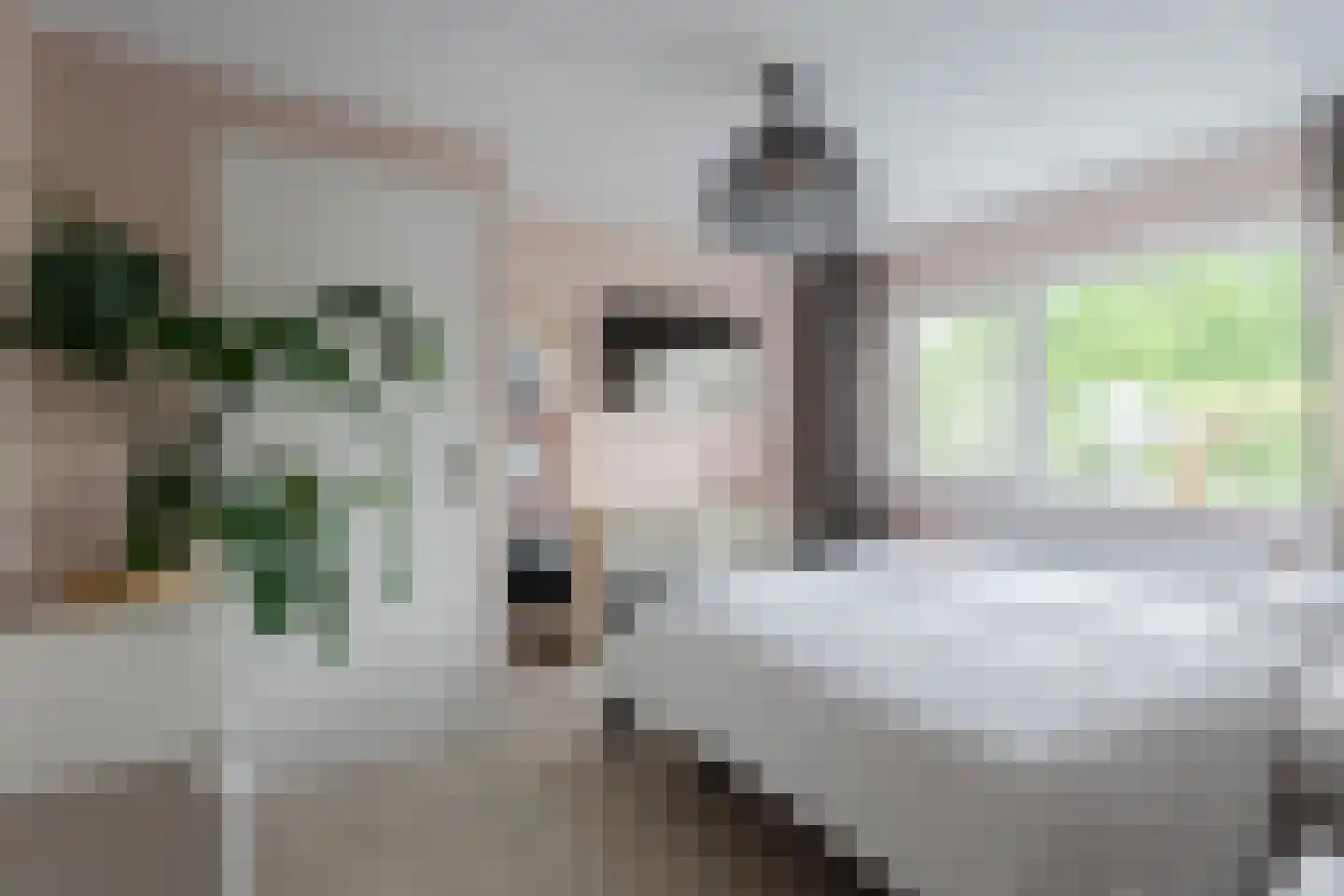 Willem Jansenstraat 40 Bemmel thumbnail 18