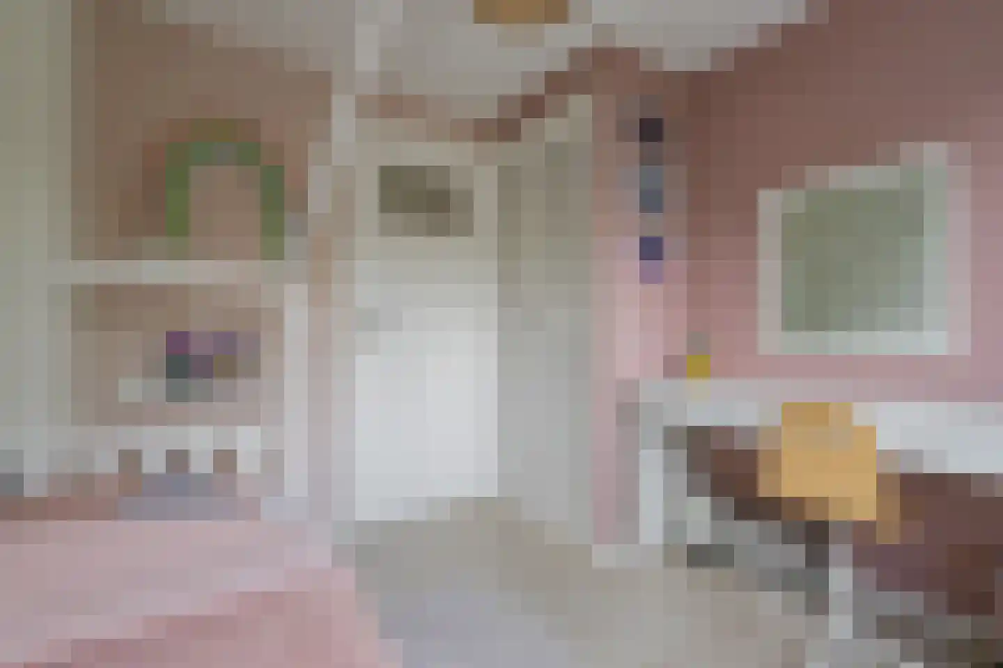 Willem Jansenstraat 40 Bemmel thumbnail 22