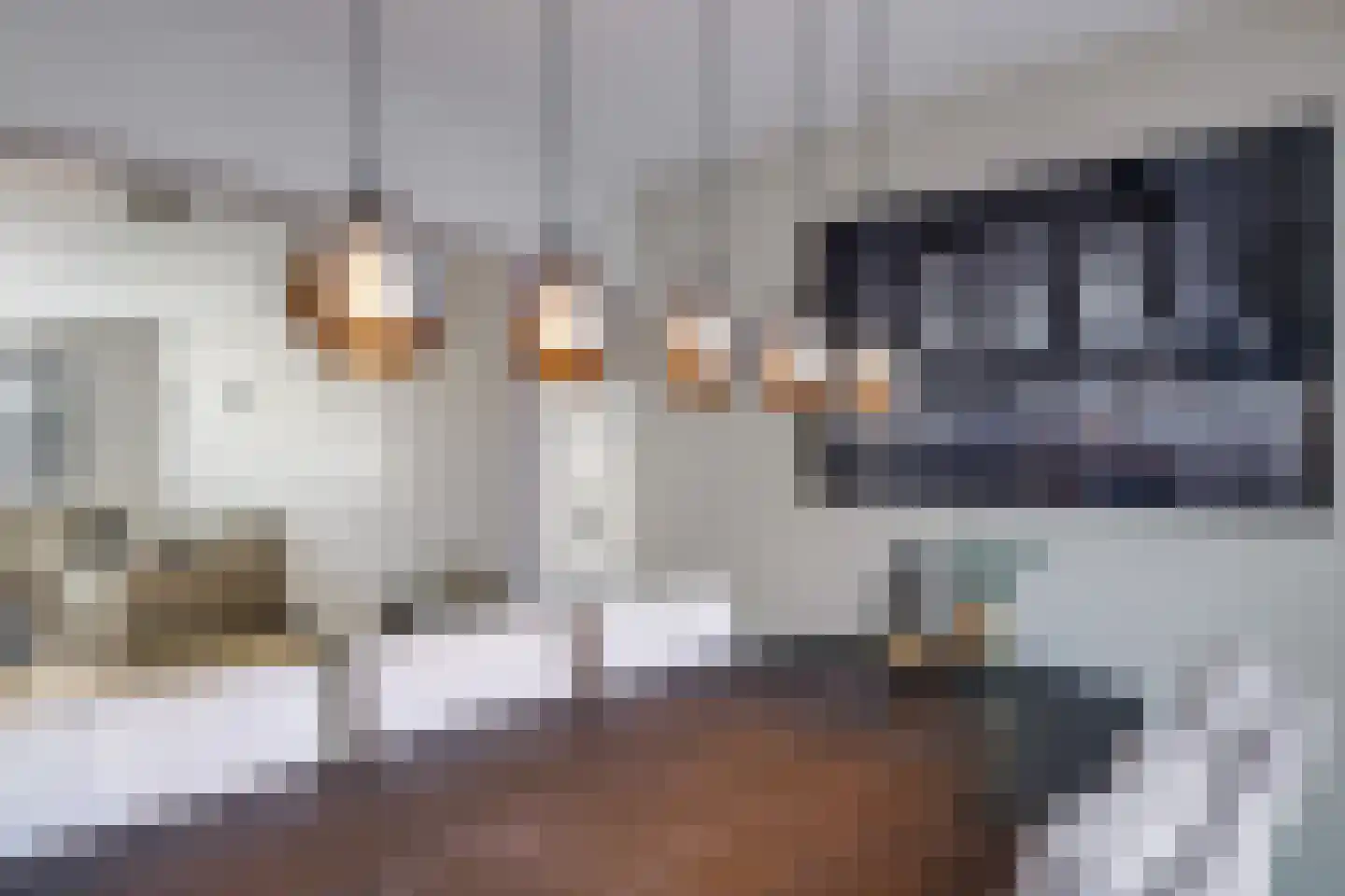 Willem Jansenstraat 48 Bemmel thumbnail 23