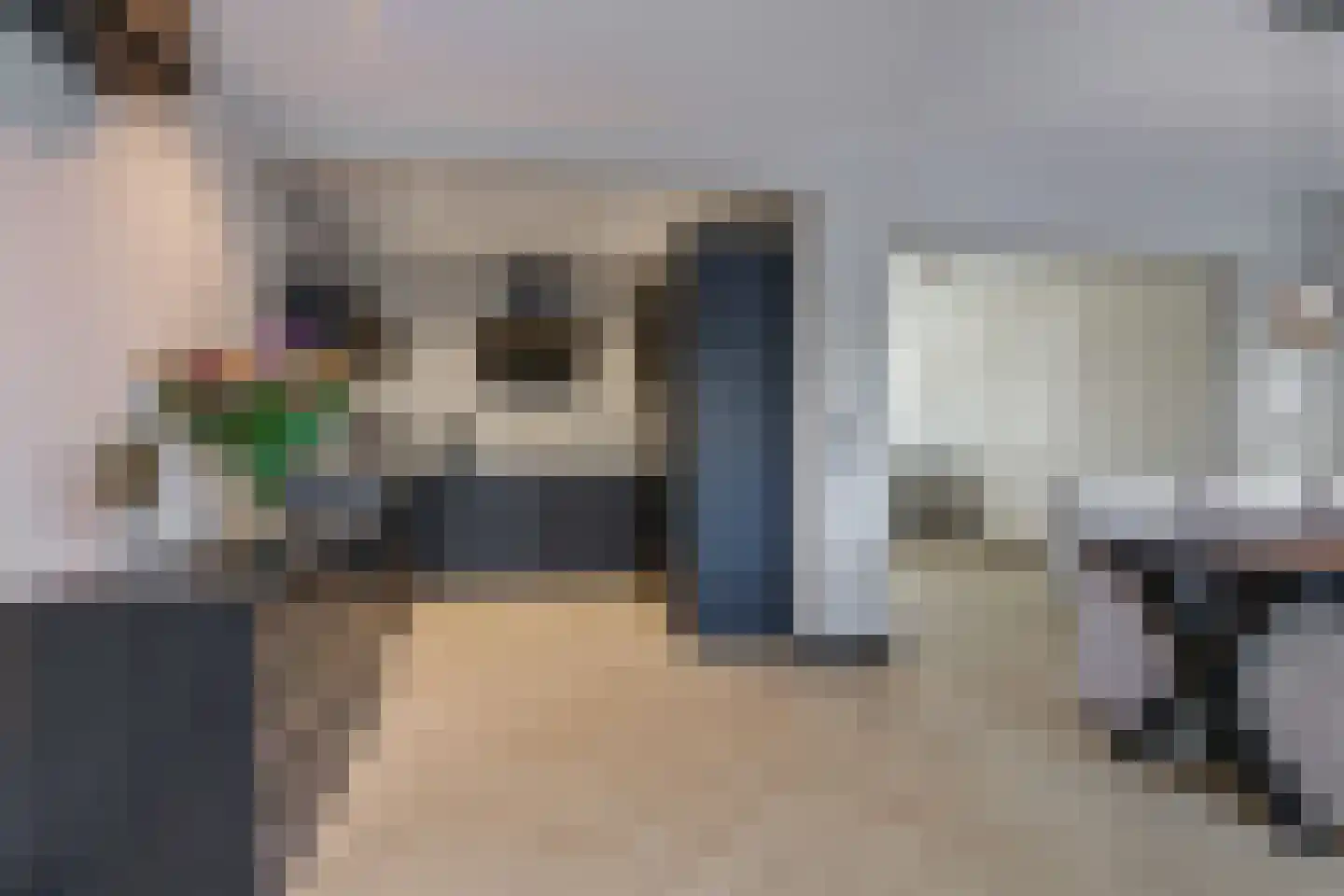 Willem Jansenstraat 48 Bemmel thumbnail 25