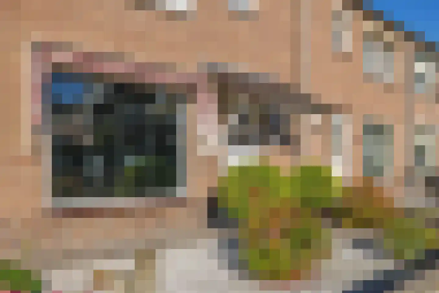 Willem Jansenstraat 48 Bemmel thumbnail 8