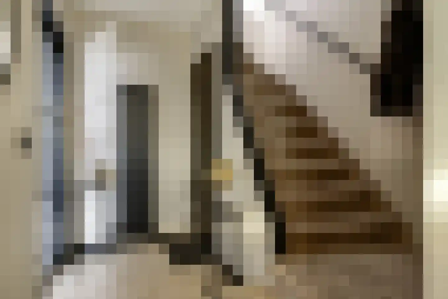 Willem Jansenstraat 48 Bemmel thumbnail 9