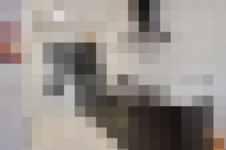 Willem Jansenstraat 5 Westzaan thumbnail 11