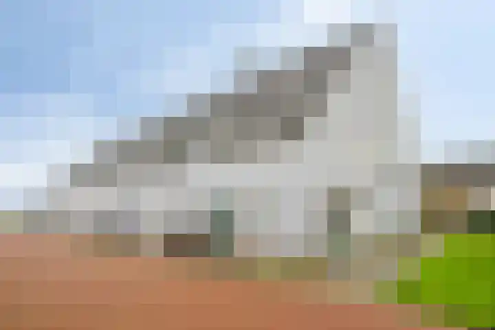 Willem Jansenstraat 5 Westzaan thumbnail 37