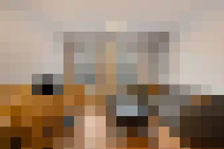 Willem Jansenstraat 5 Westzaan thumbnail 4