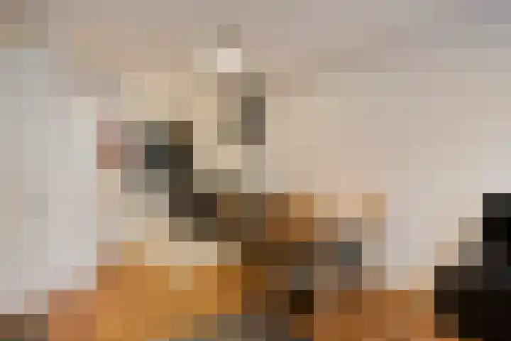Willem Jansenstraat 5 Westzaan thumbnail 8