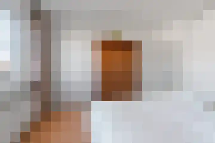 Willem Jansenstraat 66 Bemmel thumbnail 20