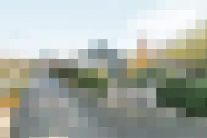 Willem Jansenstraat 66 Bemmel thumbnail 34