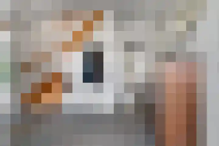 Willem Jansenstraat 66 Bemmel thumbnail 4